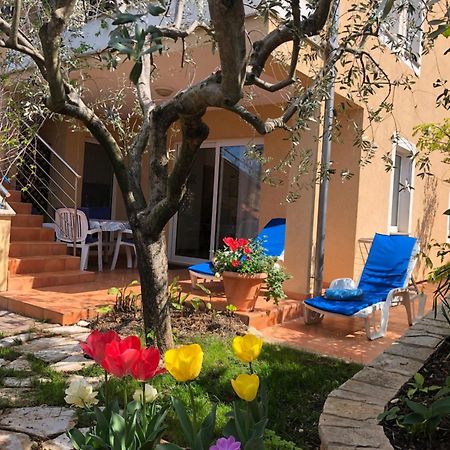Villa Alexandra 4 Pjescana Uvala Dış mekan fotoğraf
