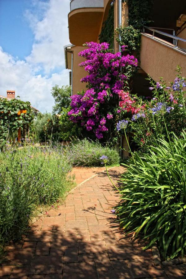 Villa Alexandra 4 Pjescana Uvala Dış mekan fotoğraf